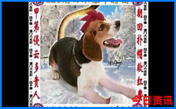 暑假高考生旅游推荐